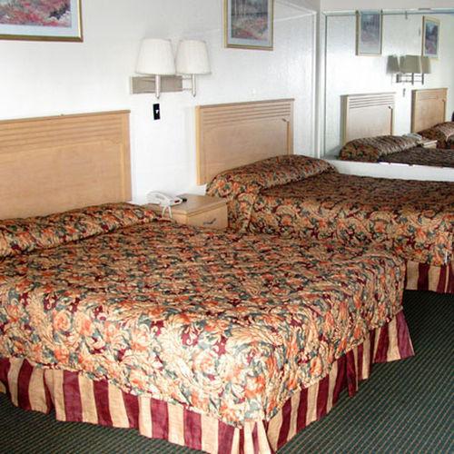 Crystal Inn 249 North Louetta Phòng bức ảnh